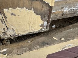 Photo_2024-04-08,_12_05_20_PM